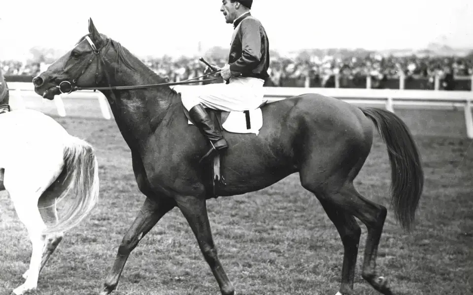 Melbourne Cup 2026