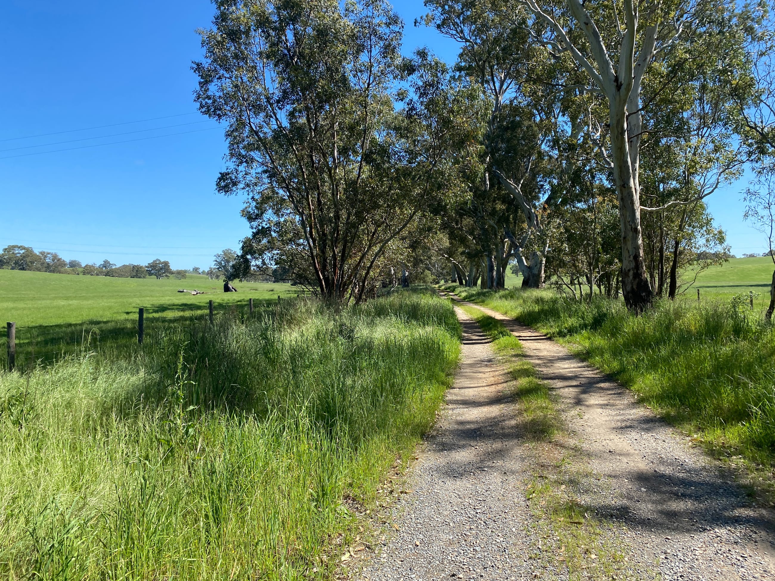 Adelaide Hills