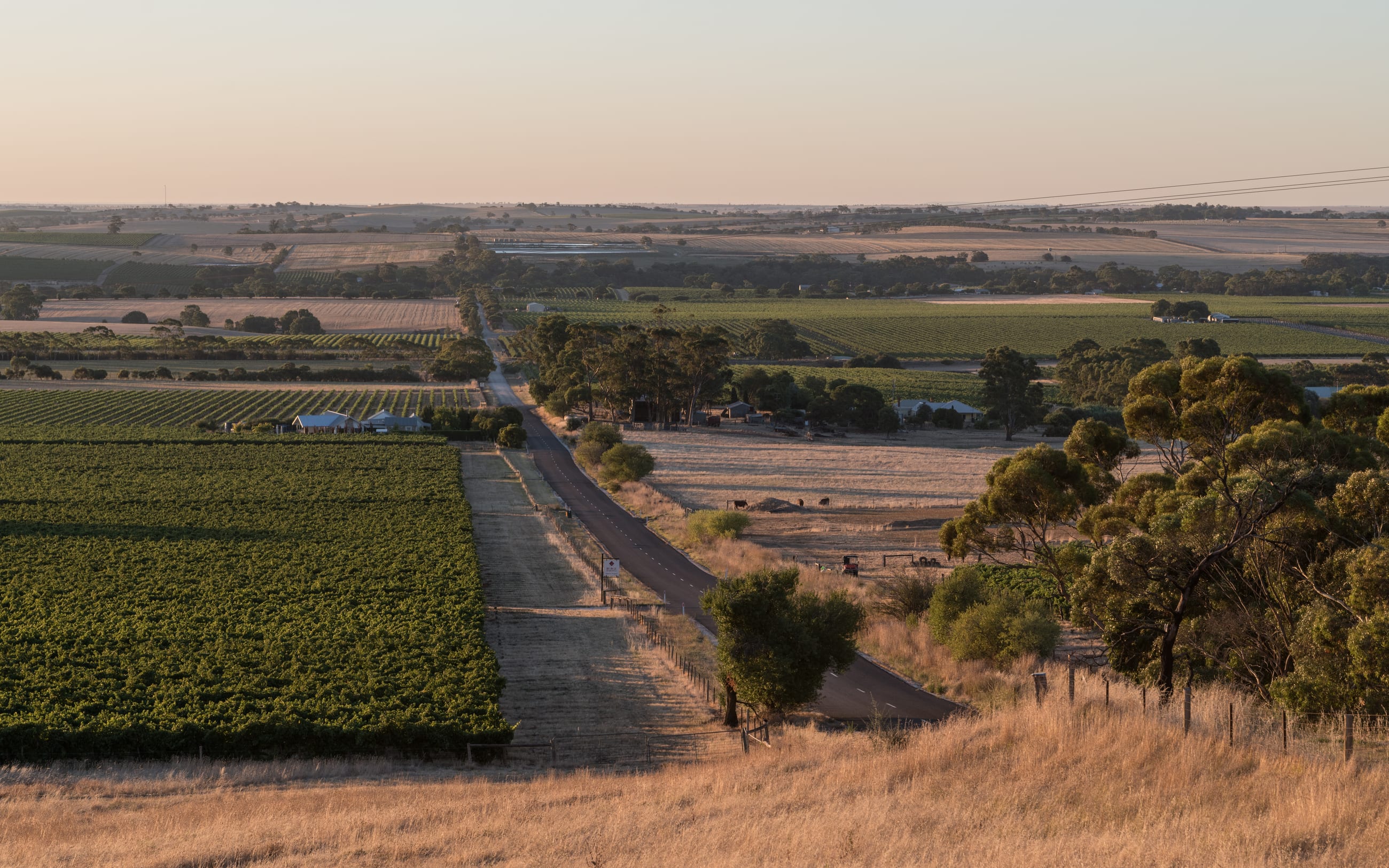 Barossa Valley