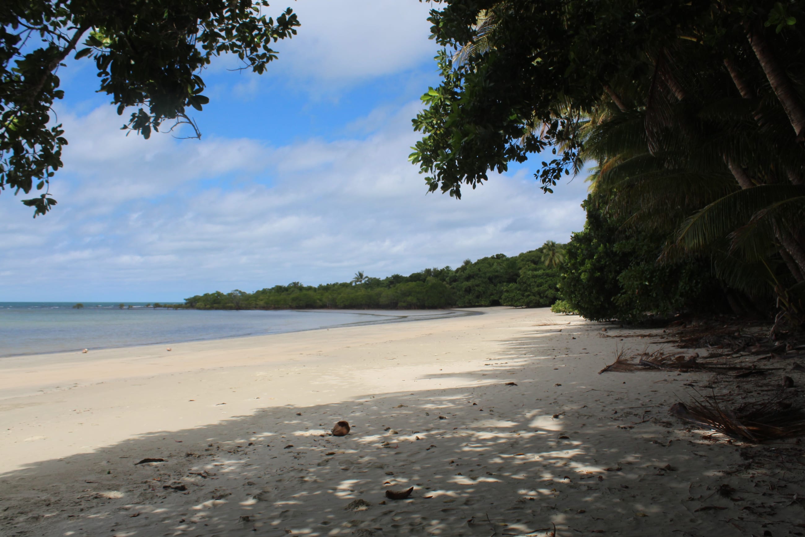 Daintree Rainforest