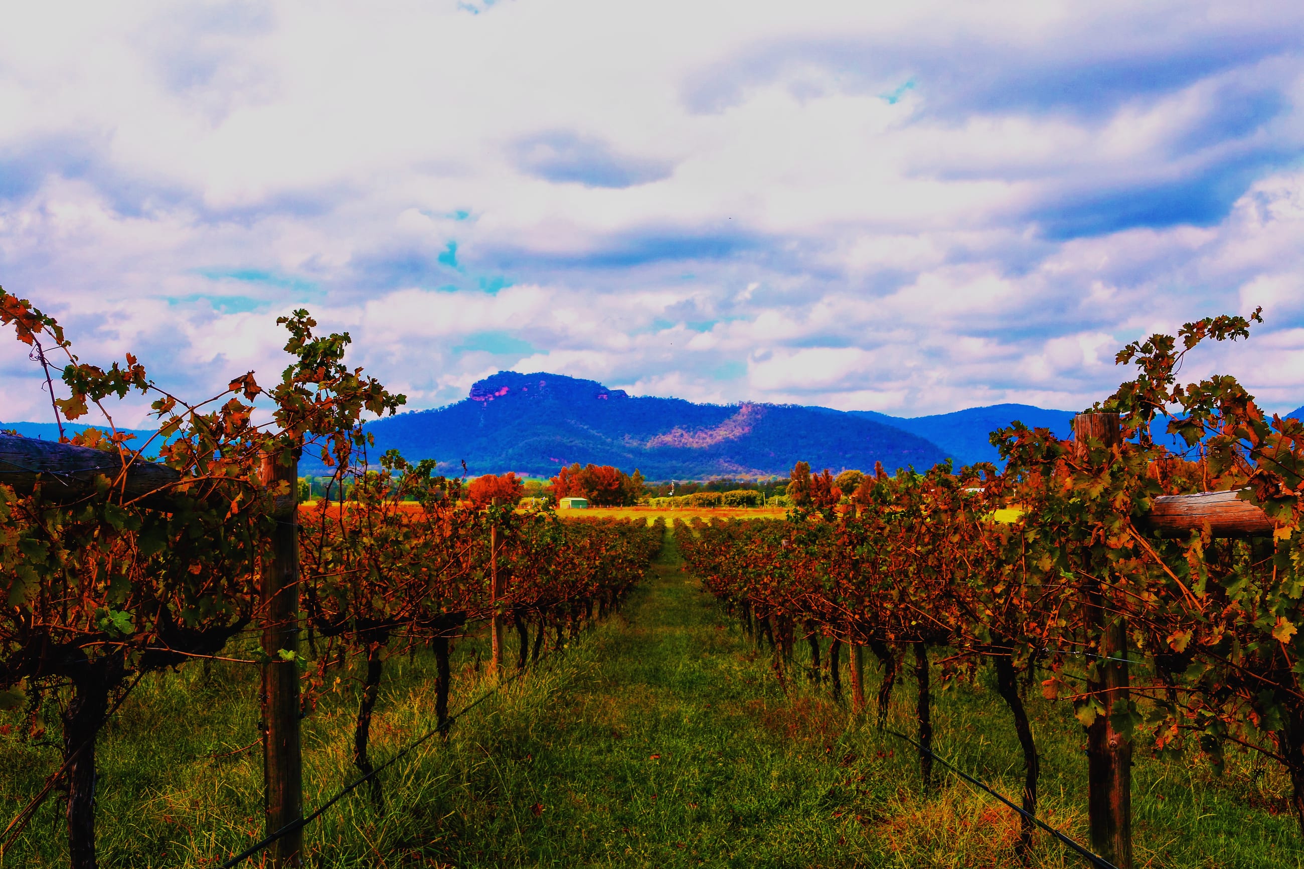 Hunter Valley