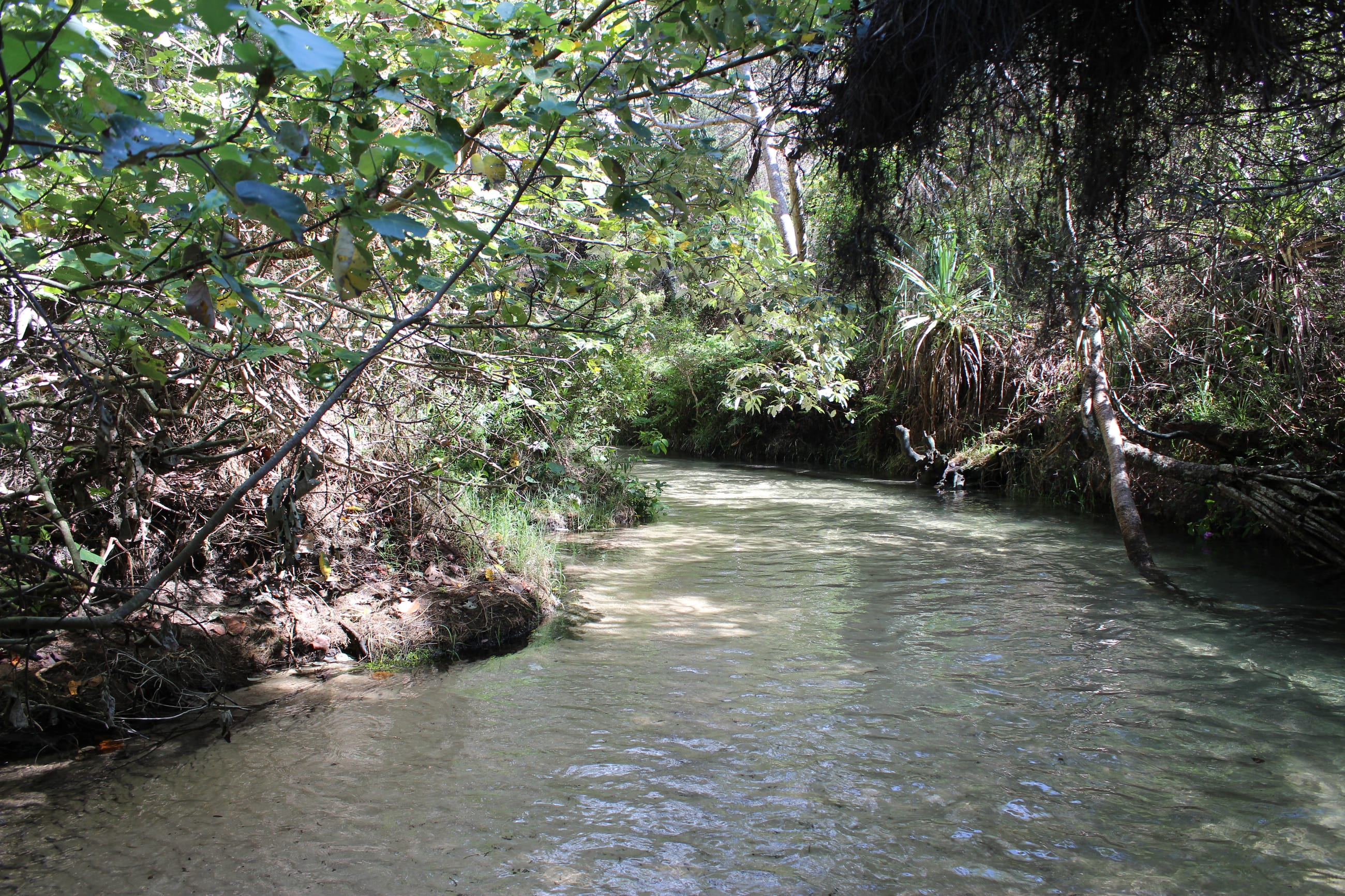 K'gari (Fraser Island)