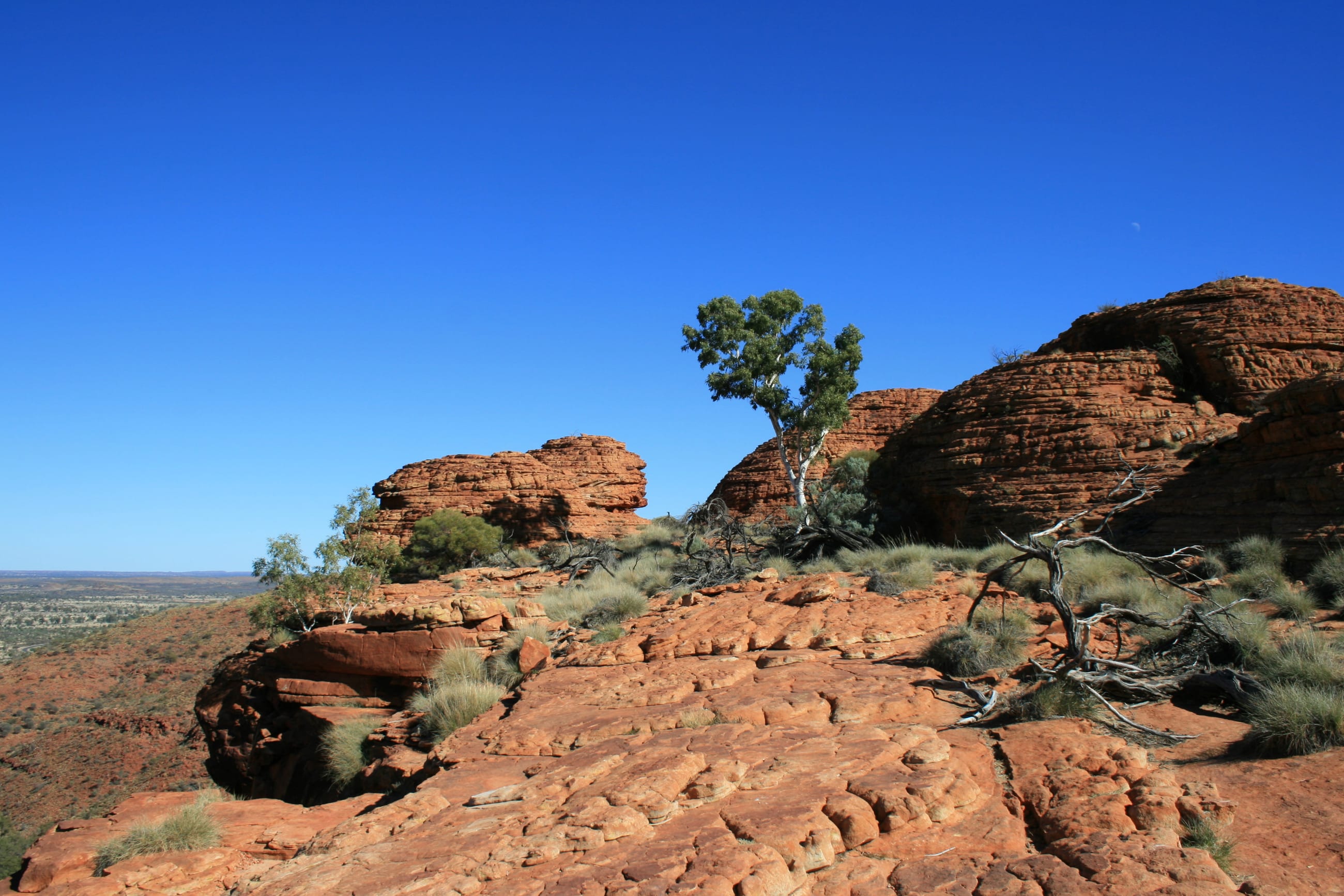 Kings Canyon (Watarrka)