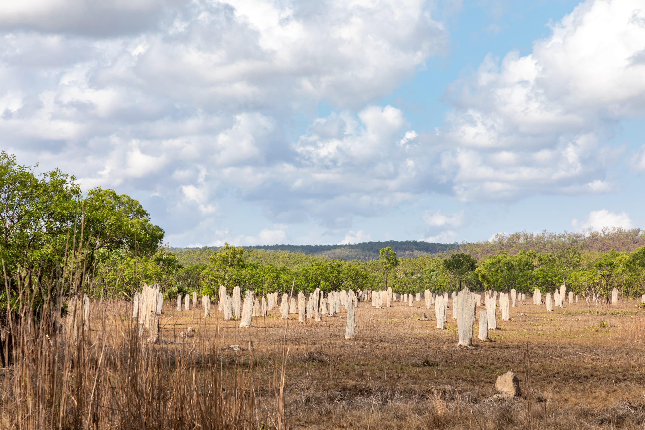 Litchfield National Park