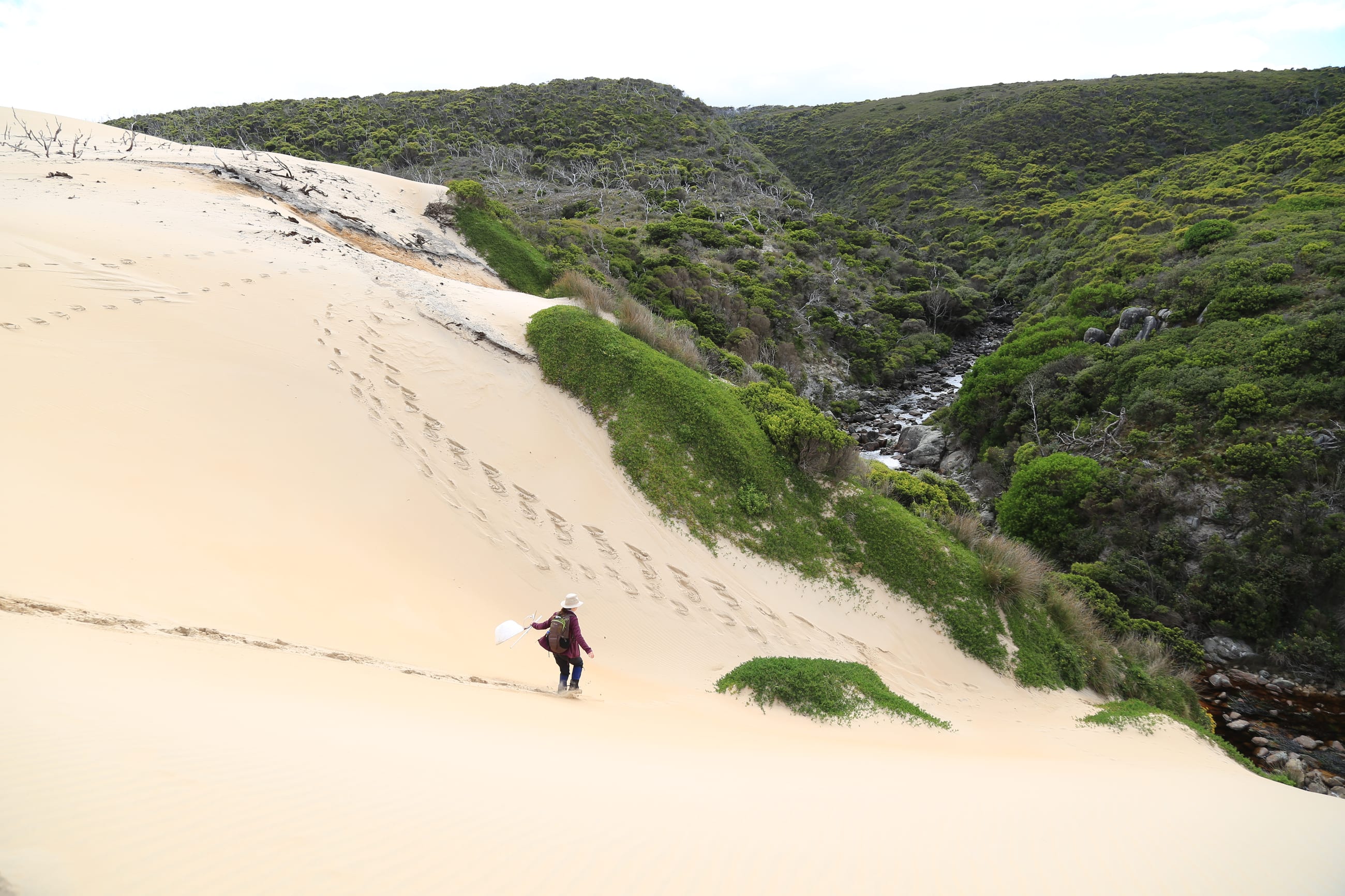 Tasmania's Wild West Coast