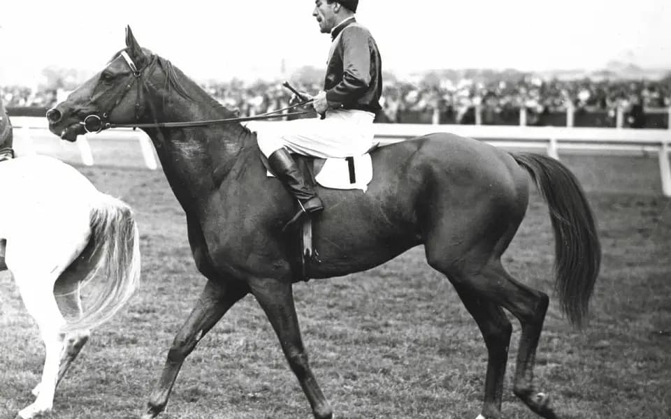 Melbourne Cup