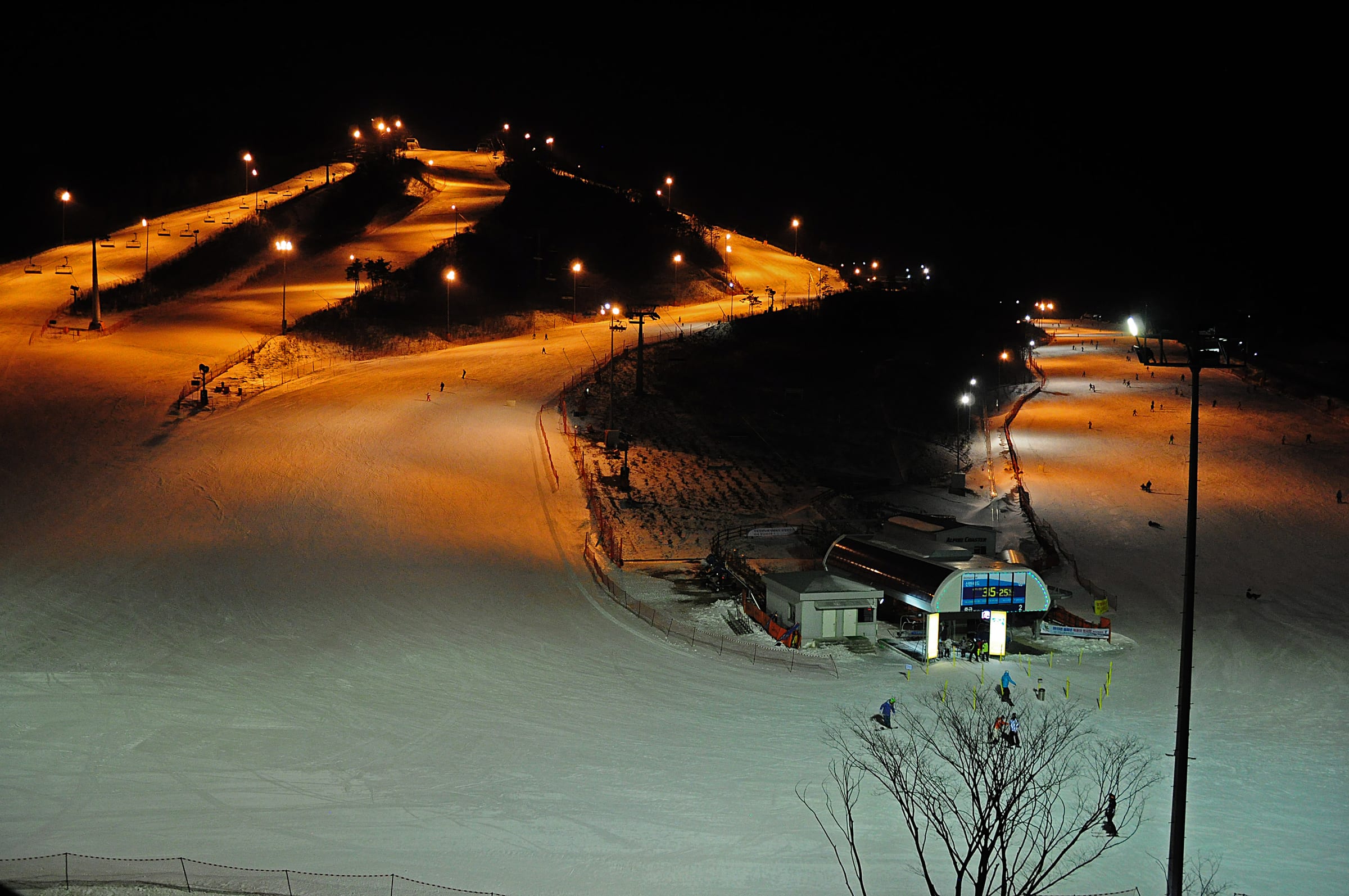 알펜시아 스키장, Alpensia Ski Resort ski area
