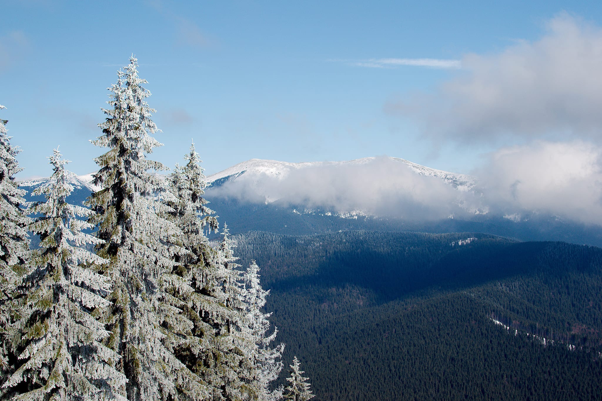 Буковель, Bukowina ski area