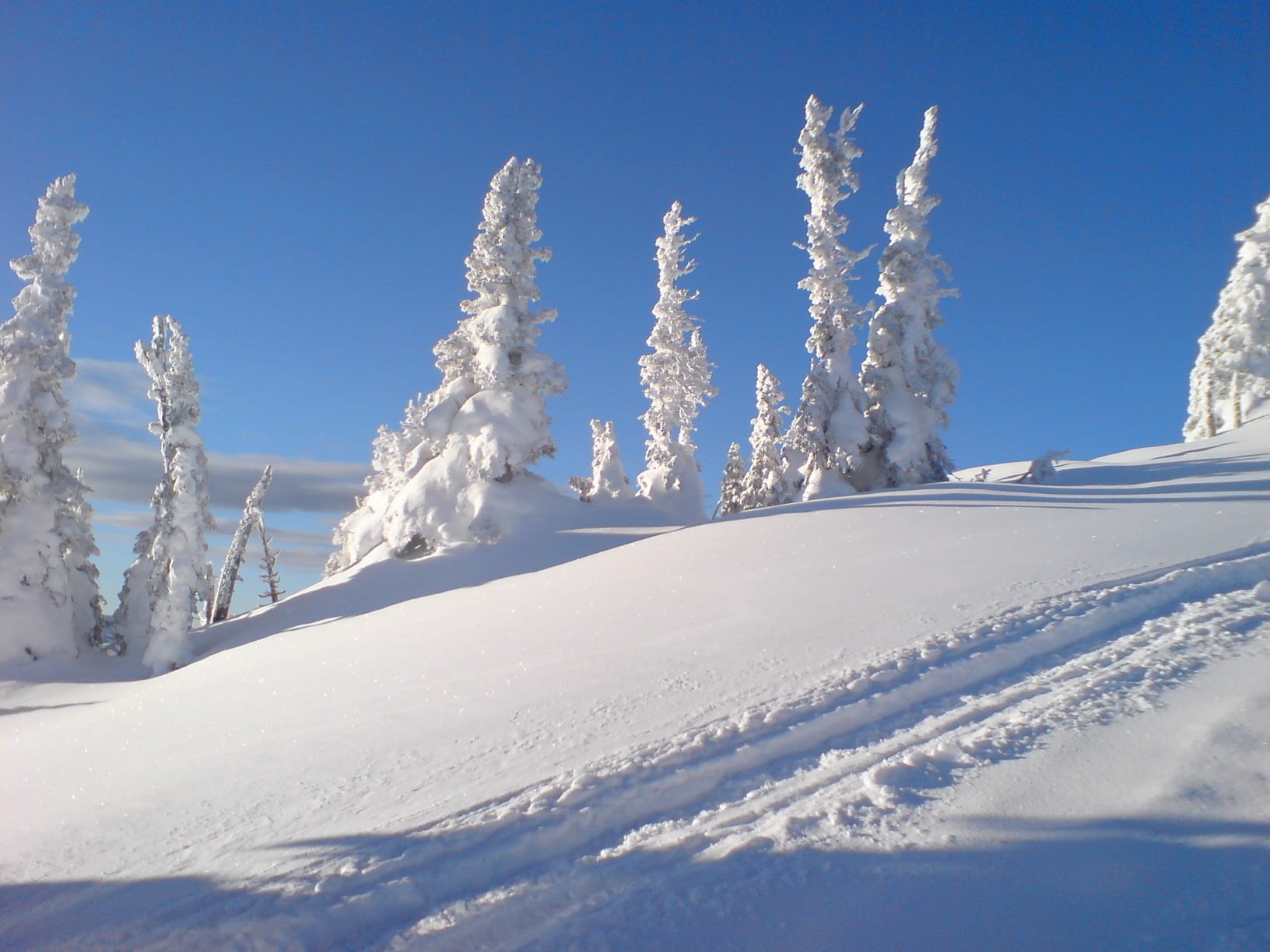 Fernie Alpine Resort ski area