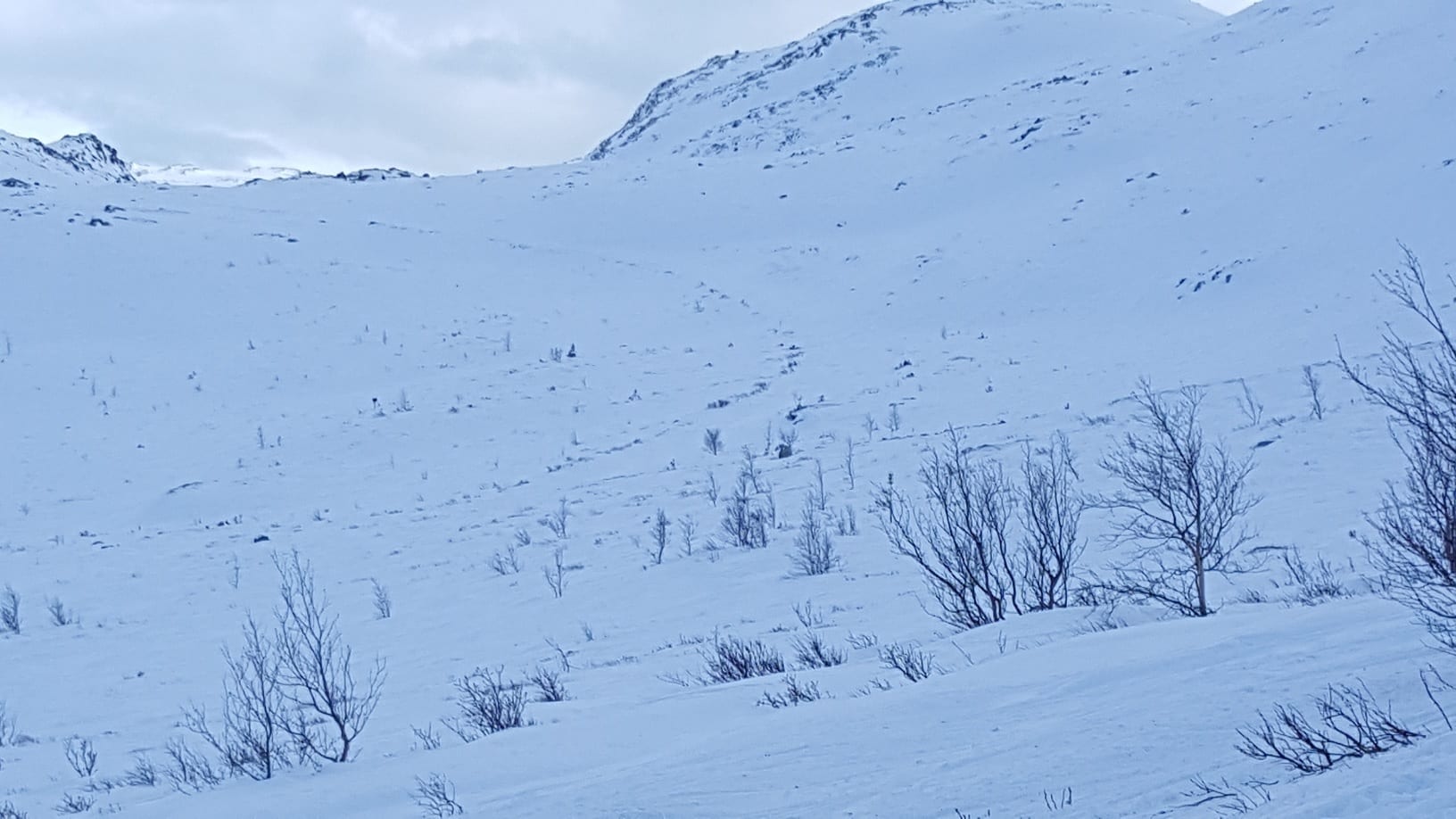 Gausta skisenter ski area