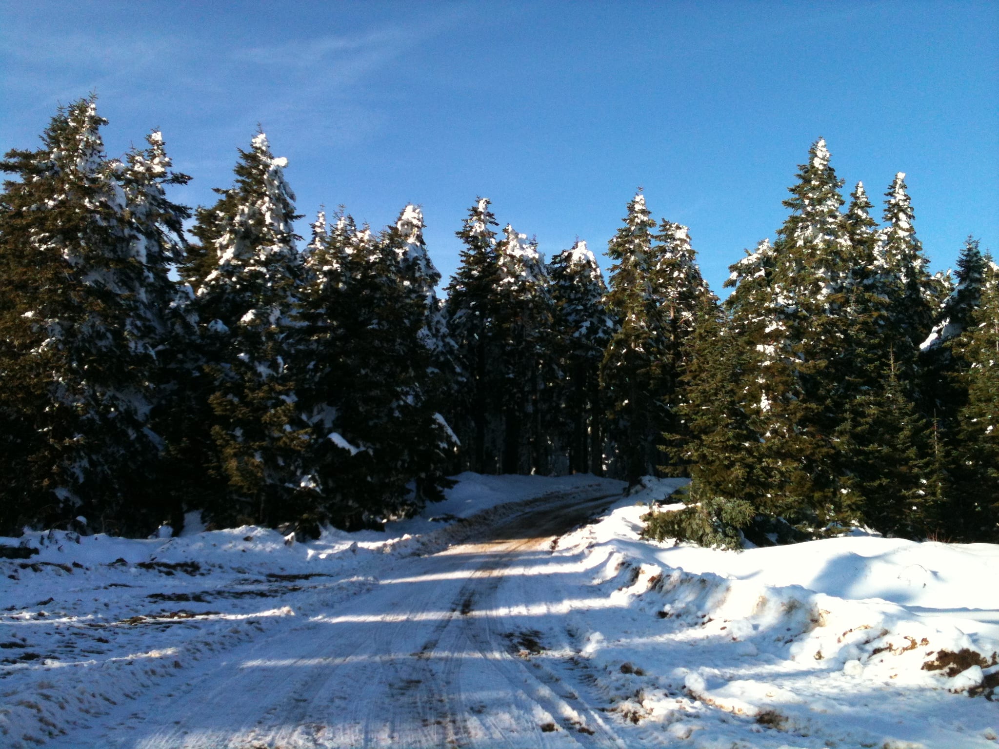 Ilgaz-2 Yurduntepe Kayak Merkezi ski area
