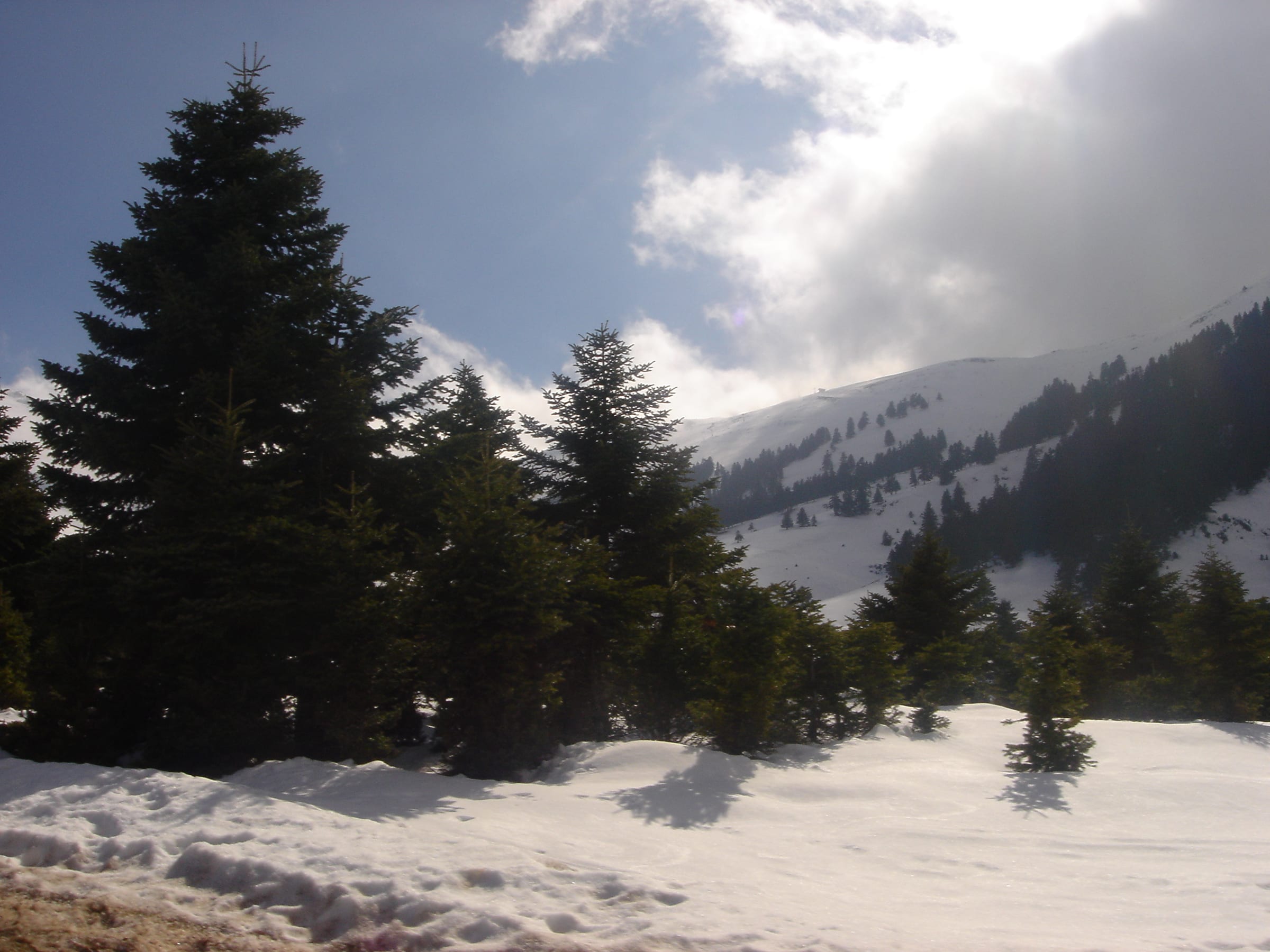 Χιονοδρομικό Κέντρο Καλαβρύτων, Kalavrita Ski Resort ski area