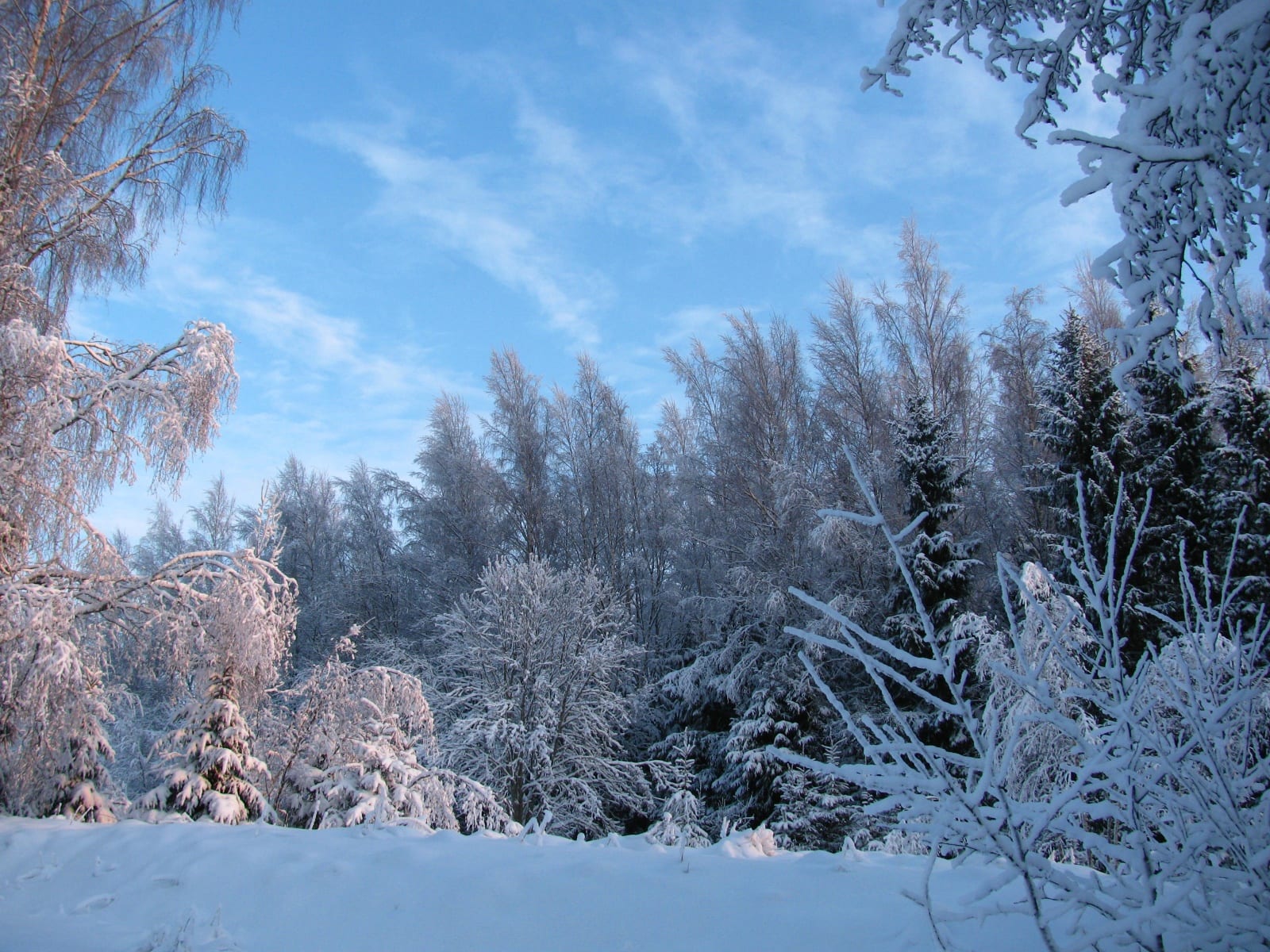 Kuutsemae ski area