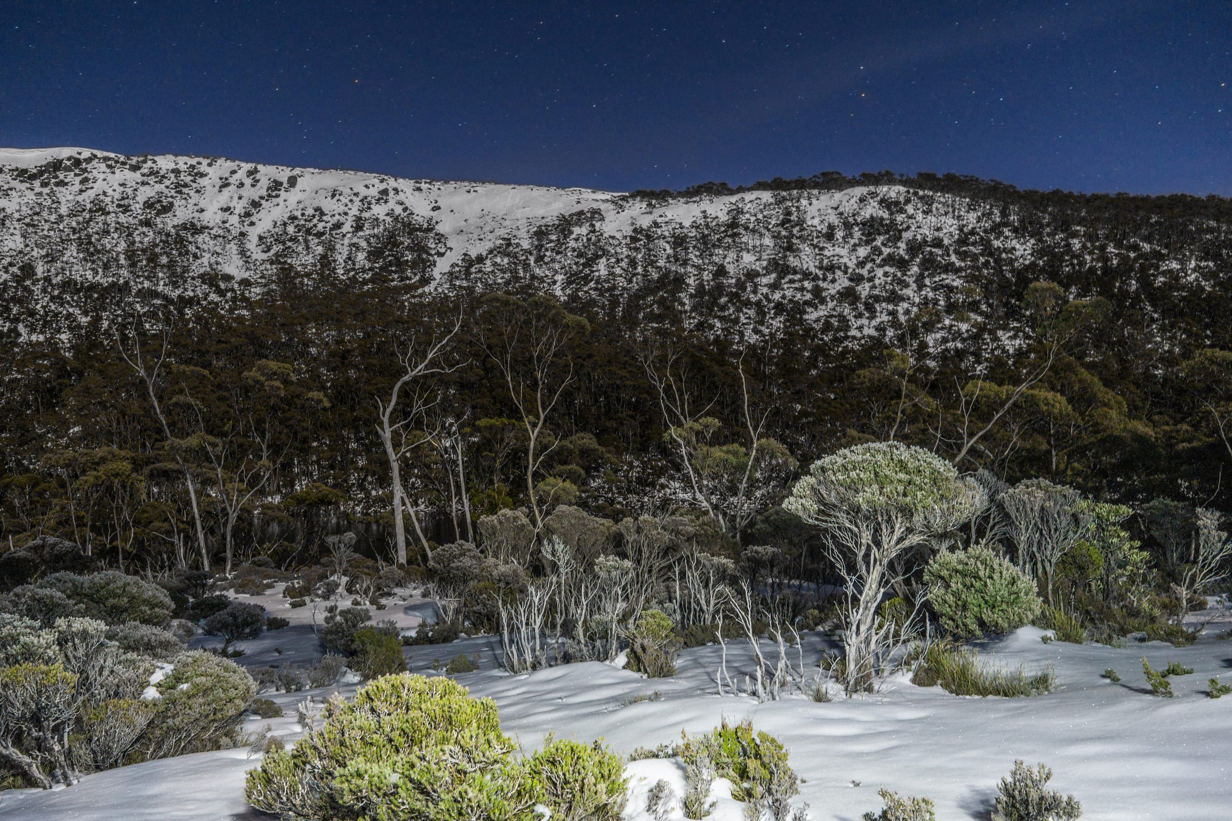 Mount Mawson ski area