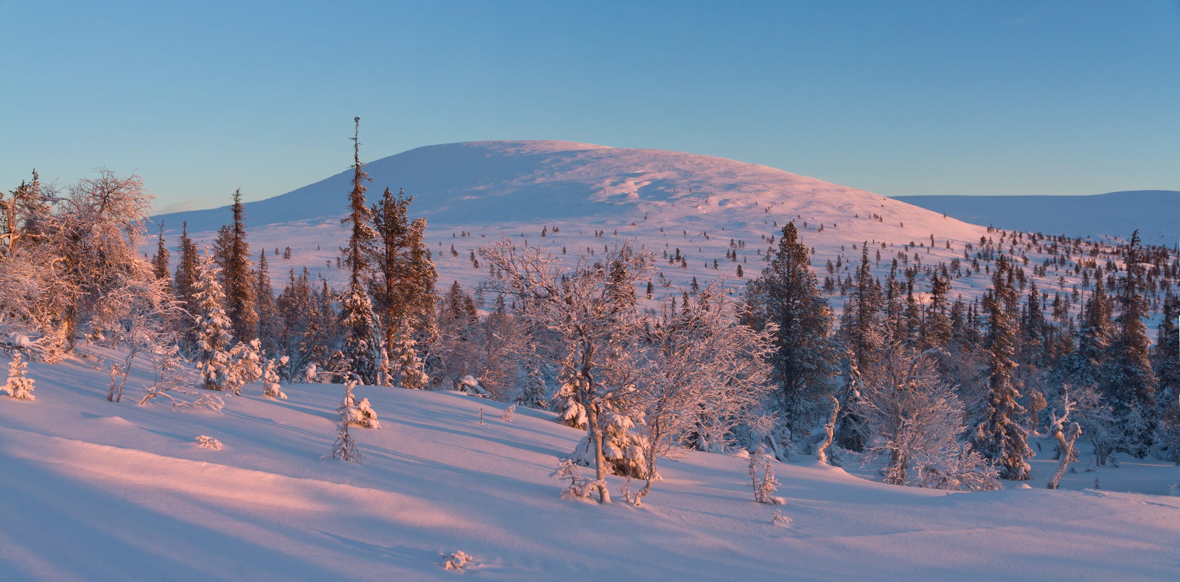 Pallas Ski Resort, Hiihtokeskus Pallas ski area
