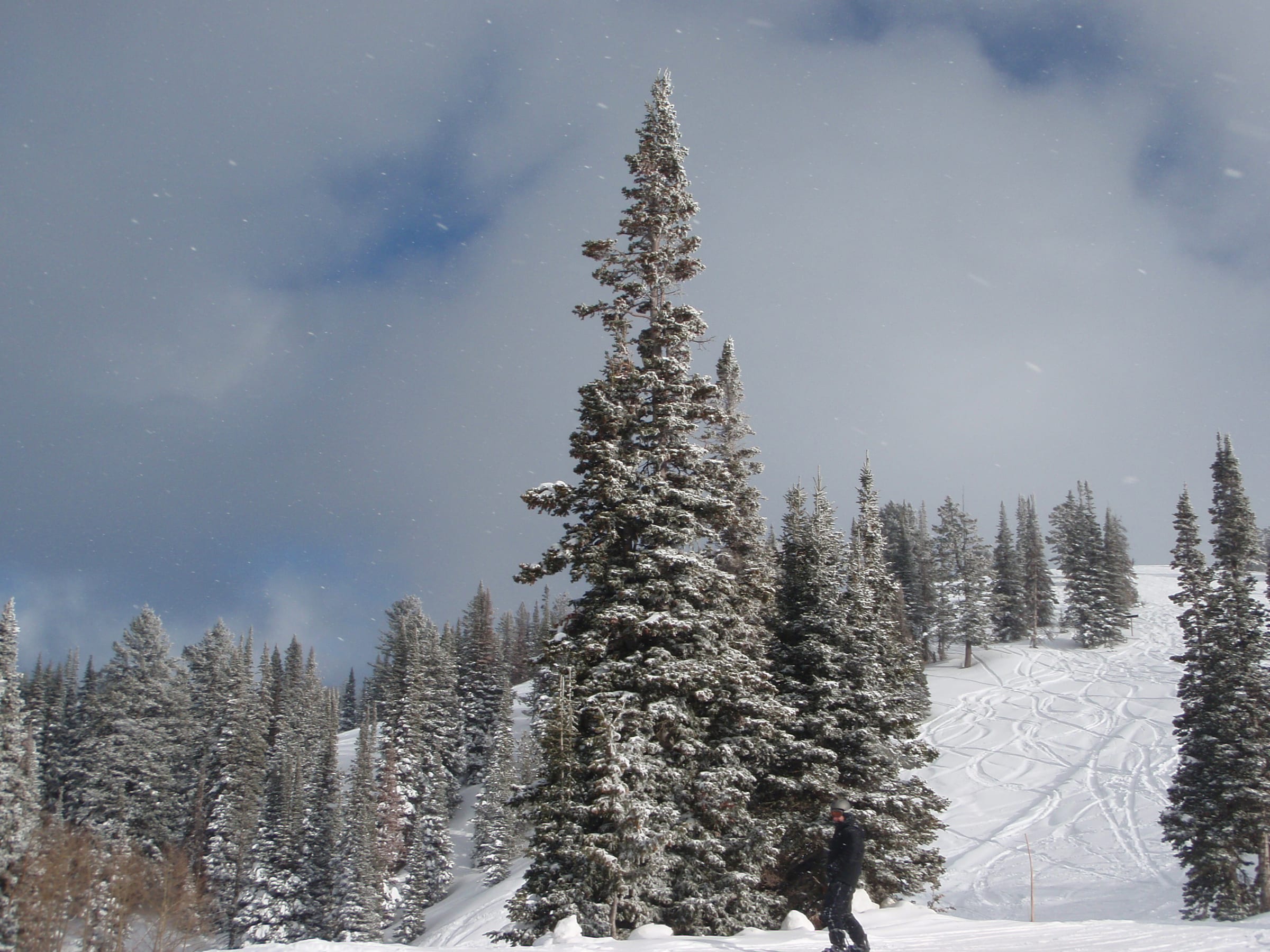 Powder Mountain Ski Resort ski area