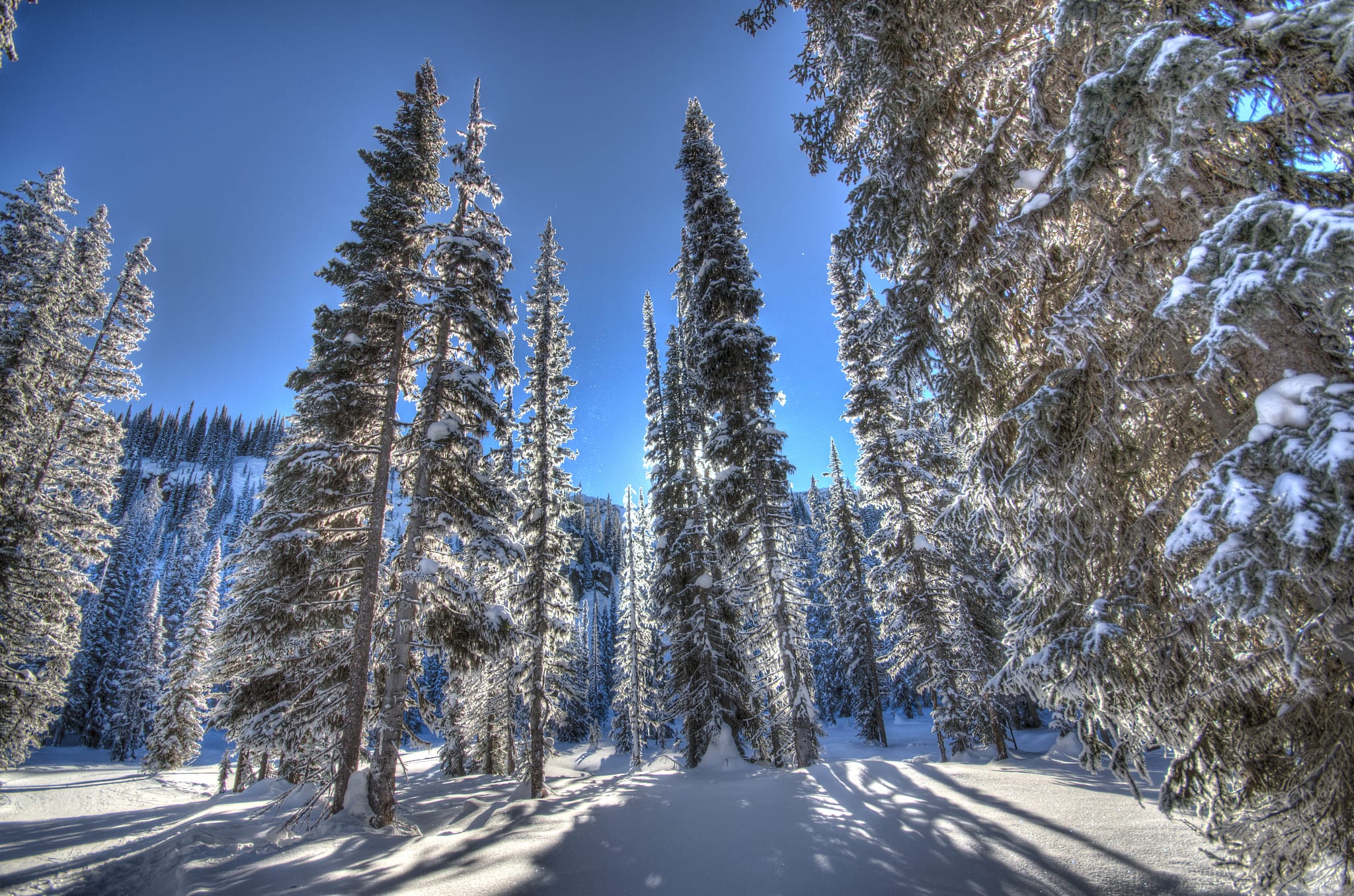 Revelstoke Mountain Resort ski area