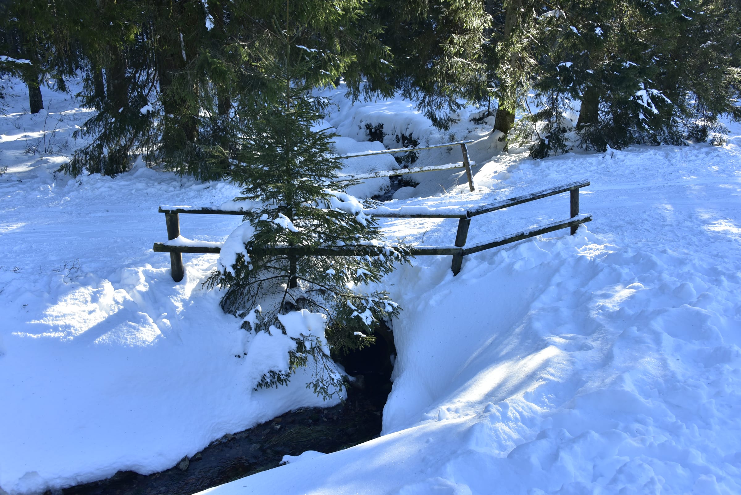 Ski Alpin Ovivat ski area