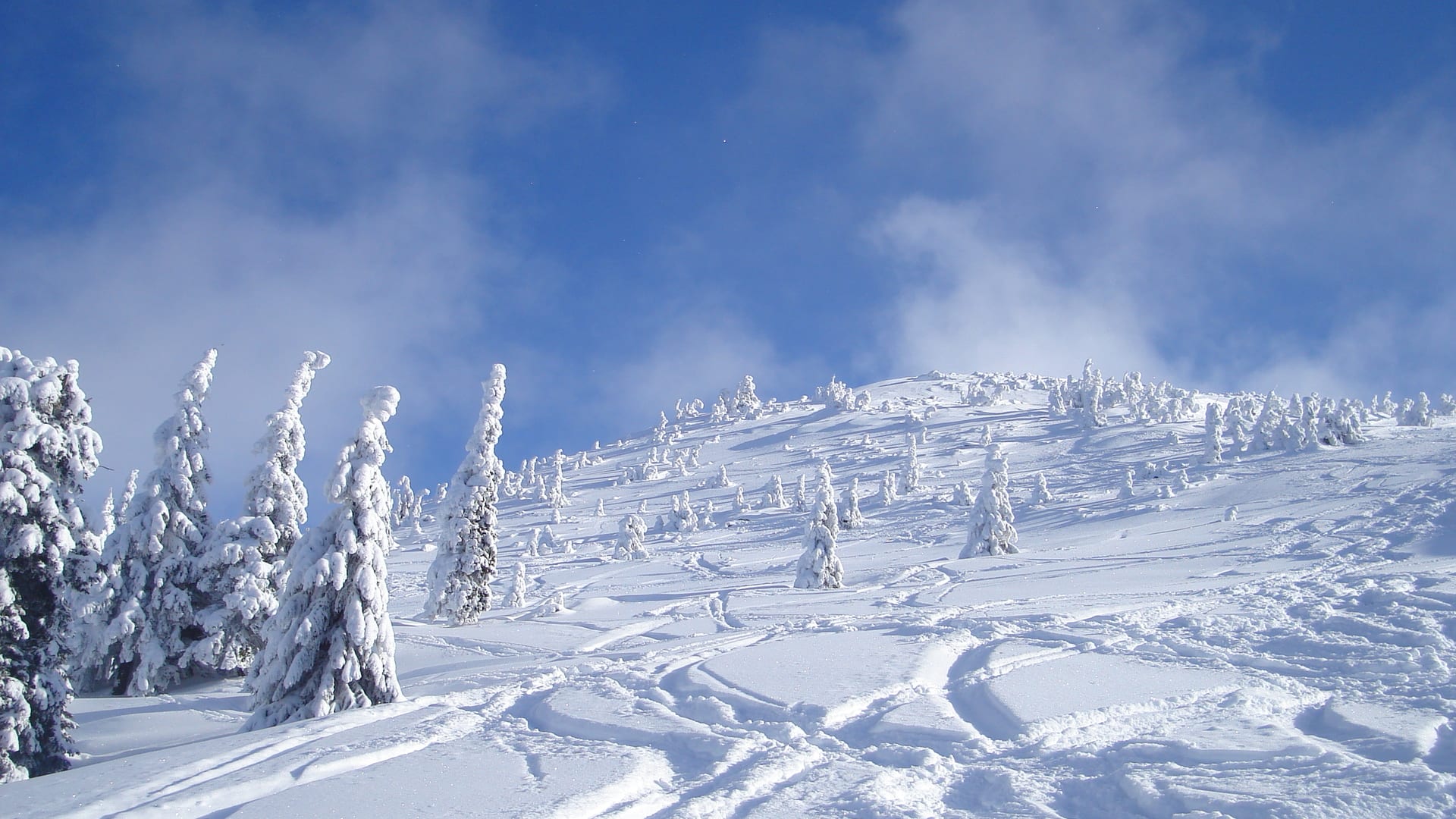 Straja ski area