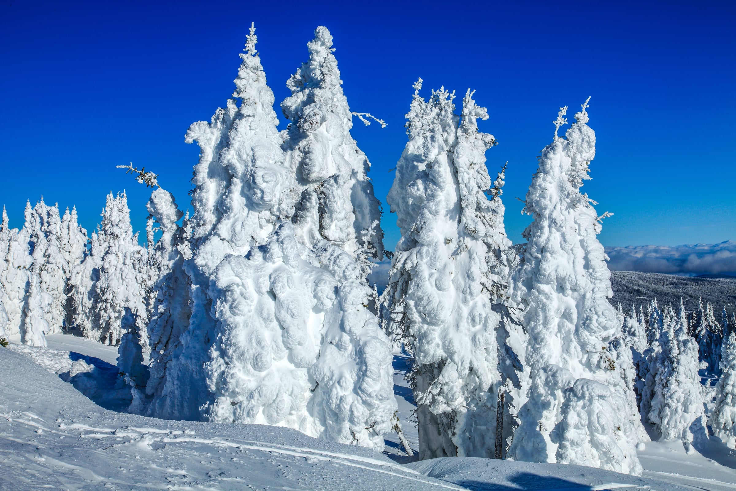 Sun Peaks Resort ski area