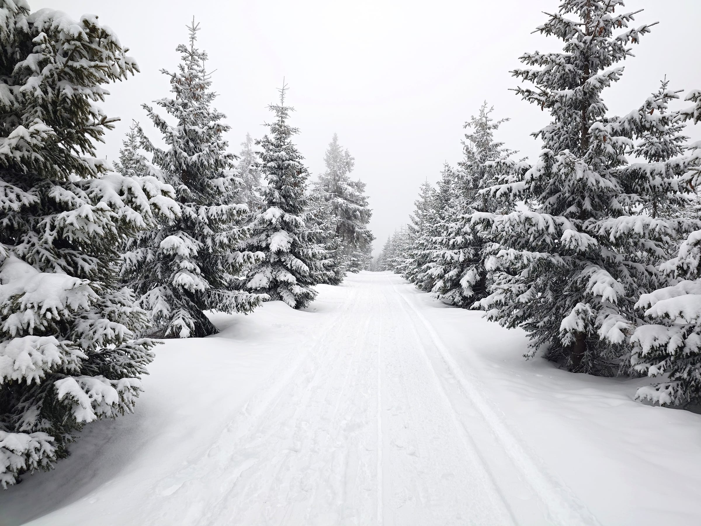 Svatý Petr - Pláň ski area