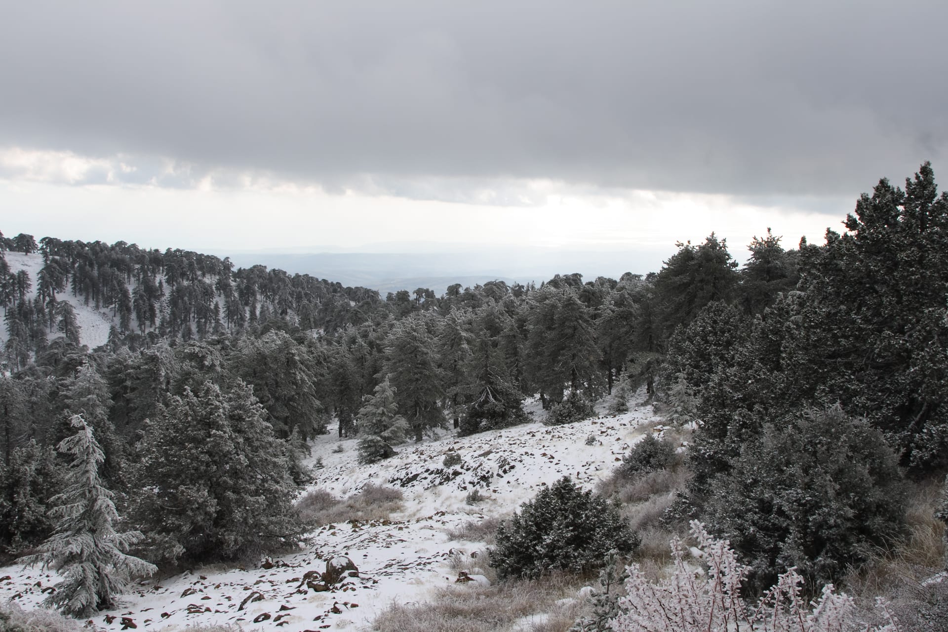 Troodos Ski Resort ski area