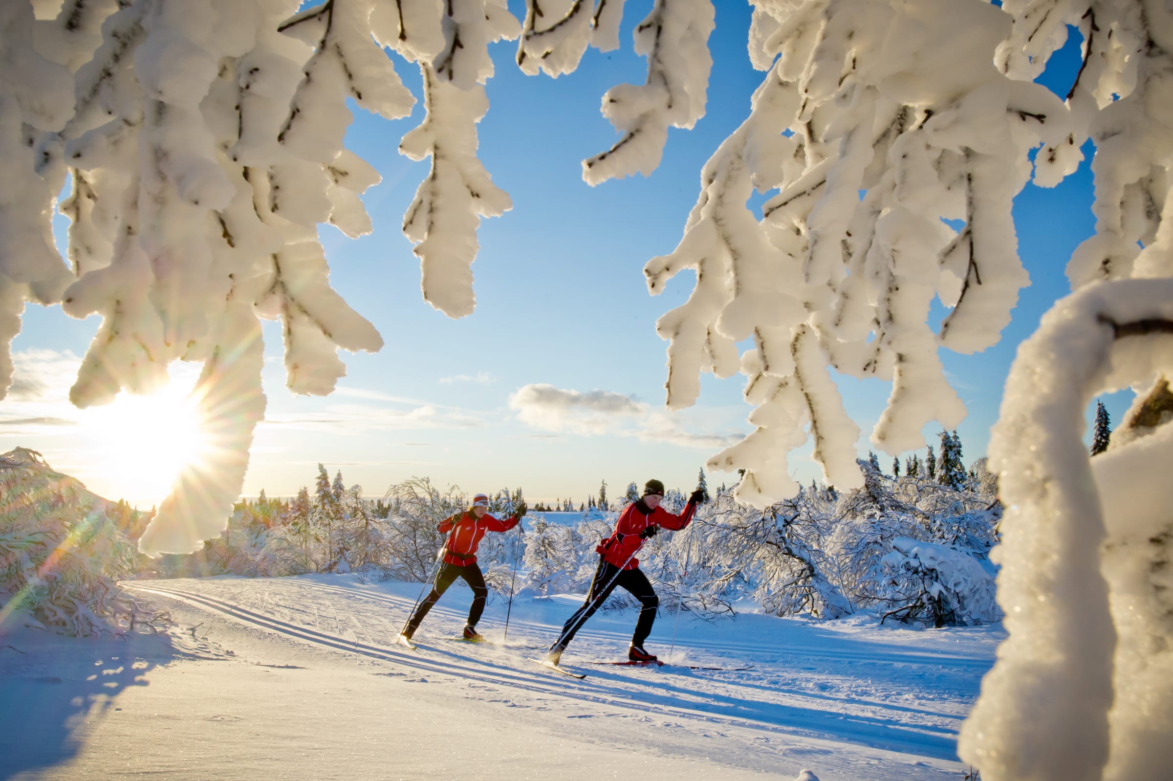 Trysil ski area