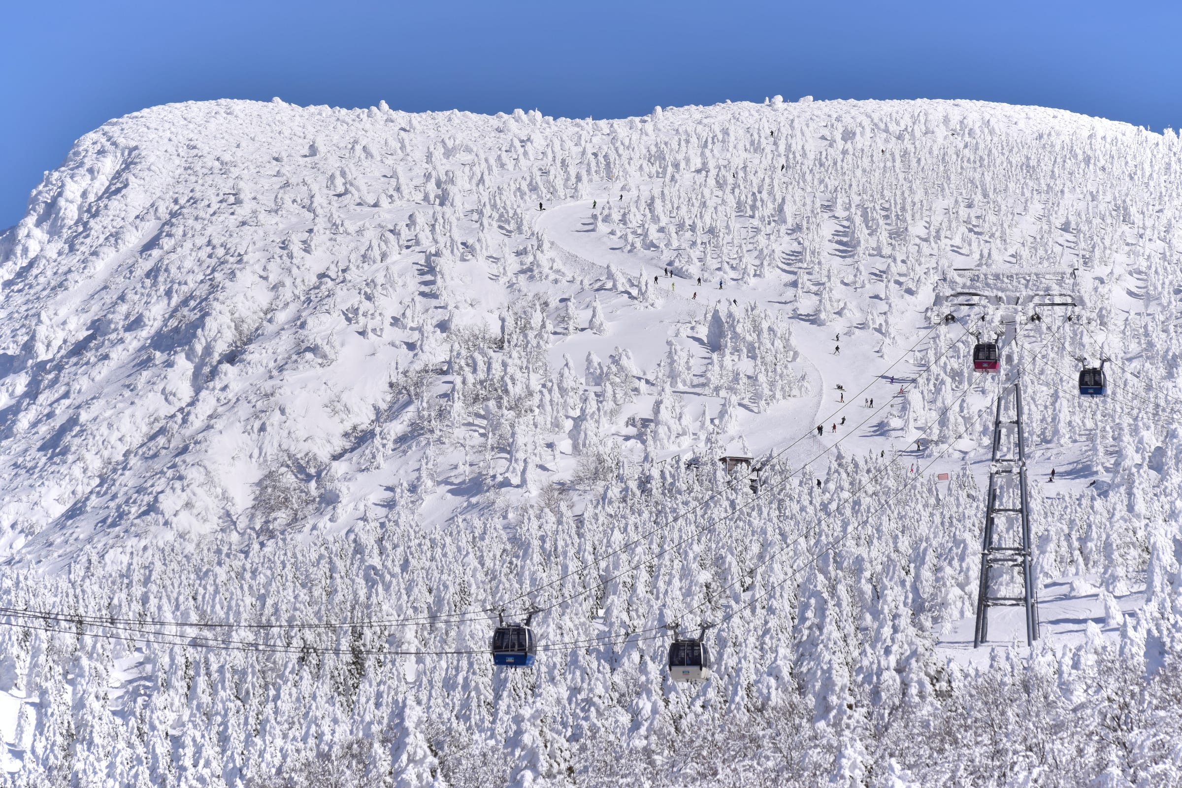 蔵王温泉スキー場, Zao Onsen Ski Resort ski area